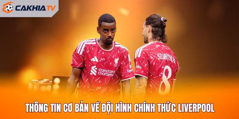 Thông tin cơ bản về đội hình chính thức Liverpool